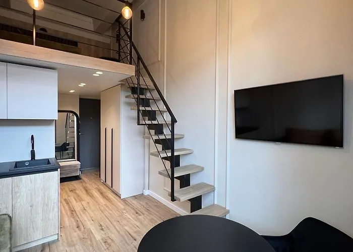 Loft2116 维尔纽斯